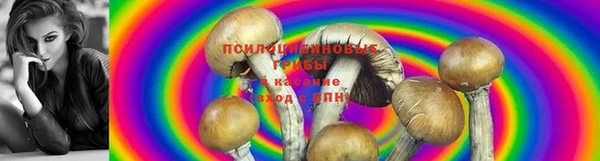 прущая мука Бронницы